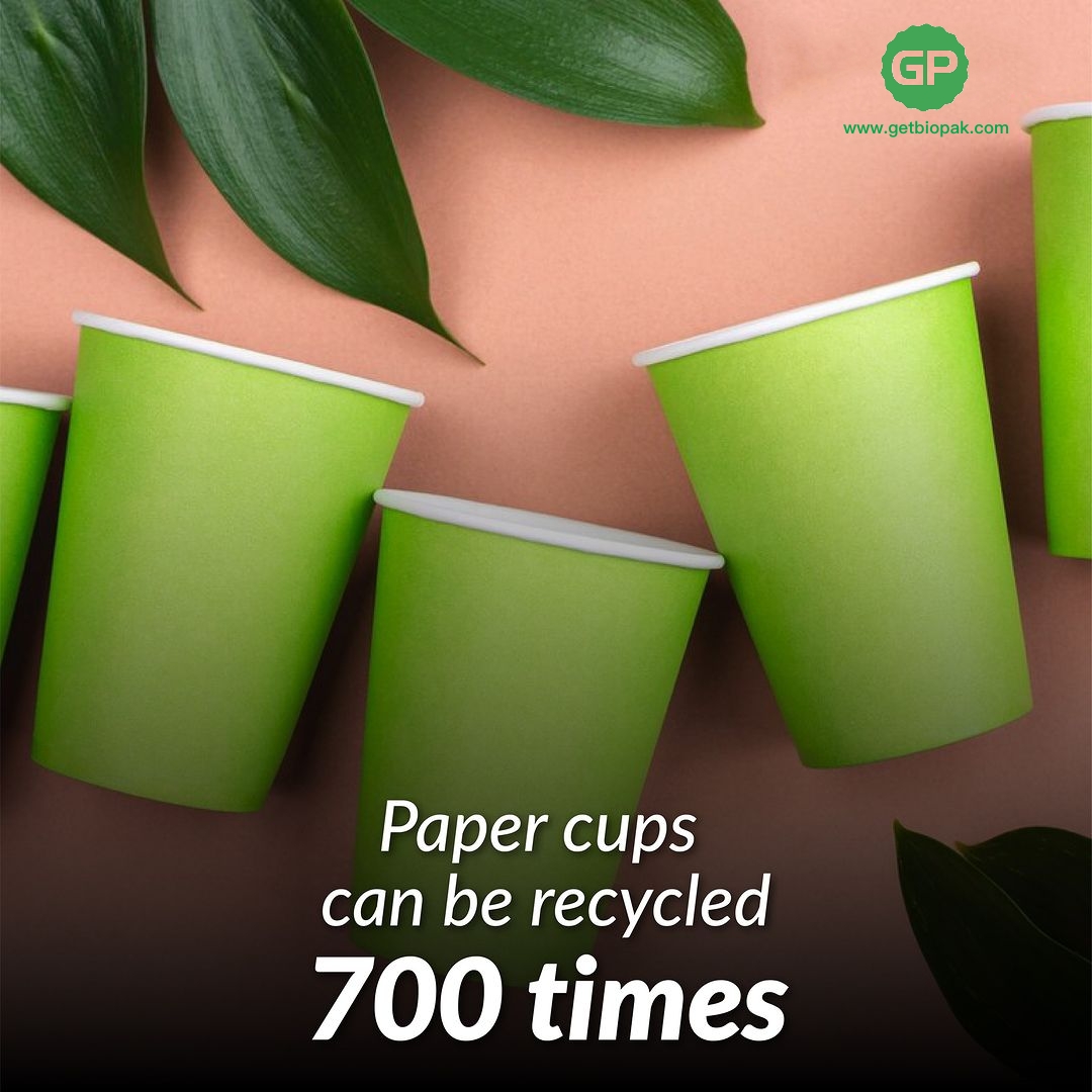 Vending green paper cup