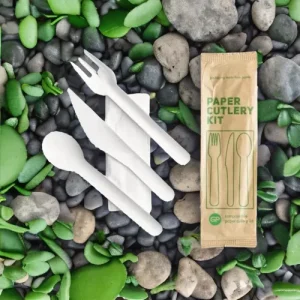 sugarcane bagasse paper cutlery kit factory